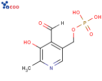 5-磷酸吡哆醛
