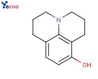 8-Hydroxyjulolidine
