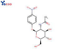 4-Nitrophenyl-2-acetamido-2-deoxy-beta-d- glucopyranoside
