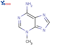 6-氨基-3-甲基嘌呤
