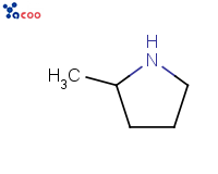 2-甲基吡咯烷
