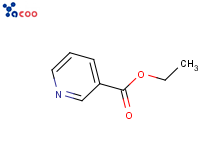 Ethyl nicotinoate
