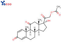 Prednisone 21-acetate
