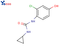 	
N-(2-氯-4-羟基苯基)-N'-环丙基-脲
