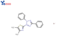 Thiazolyl Blue；(4,5-dimethythiazoyl-zyl2,5-diphenylterrajolium bromiole）<br/>
