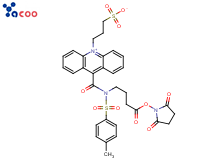 3-[9-(((3-(N-succinimidyloxycarboxypropyl)[4-methxylphenyl]sulfonyl)amine)carboxyl]-10-acridiniumyl)-1-propanesulfonate inner salt (NSP-SA-NHS)
