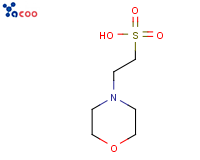 2-吗啉乙磺酸（MES）
