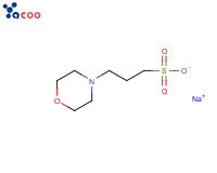 3-(N-吗啉基)丙磺酸钠盐(MOPS-Na) 
