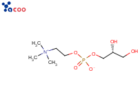 L-α-甘油磷酰胆碱（GPC）
