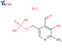 Pyridoxal 5-phosphate monohydrate
