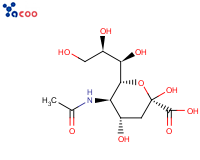 N-Acetylneuraminic acid
