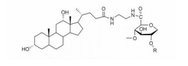 脱氧胆酸偶联肝素衍生物ldh