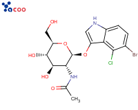 5-Bromo-4-chloro-3-indolyl-N-acetyl-beta-D-glucosaminide
