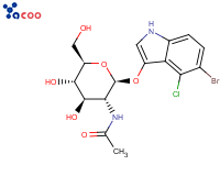 5-溴-4-氯-3-吲哚基-N-乙酰-beta-D-氨基葡萄糖苷
