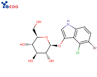 5-溴-4-氯-3-吲哚基-β-D-吡喃葡萄糖苷(X-GLU)
