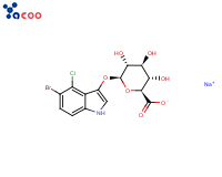 5-溴-4-氯-3-吲哚基β-D-葡萄糖醛酸苷钠盐
