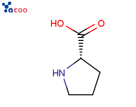 L-脯氨酸
