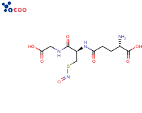 S-Nitrosoglutathione
