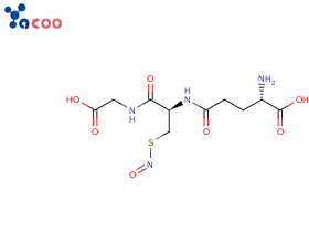 亚硝基谷胱甘肽 