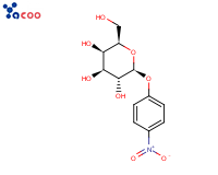 p-Nitrophenyl-β-D-Galactopyranoside
