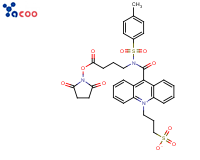 3-[9-(((3-(N-succinimidyloxycarboxypropyl)[4-methxylphenyl]sulfonyl)amine)carboxyl]-10-acridiniumyl)-1-propanesulfonate inner salt (NSP-SA-NHS)
