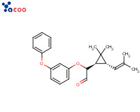 右旋苯醚菊酯
