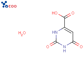 乳清酸（一水合物）