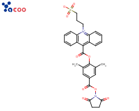 吖啶酯(NSP-DMAE-NHS)<br/>
