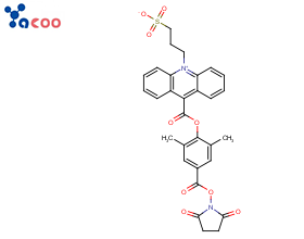 吖啶酯(NSP-DMAE-NHS)
