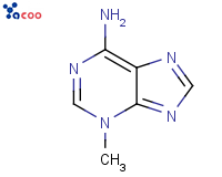 3-METHYLADENINE
