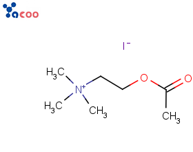 碘化乙酰胆碱