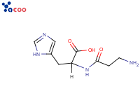 Ribonuclease A
