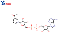 3-乙酰吡啶腺嘌呤二核苷酸
