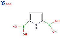 1H-吡咯-2,5-硼酸
