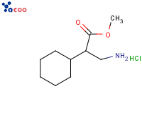 2-环己基-3-氨基丙酸甲酯盐酸盐
