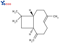 BETA-CARYOPHYLLENE
