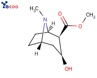 芽子碱甲酯
