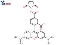 6-CARBOXYTETRAMETHYLRHODAMINE N-HYDROXYSUCCINIMIDE ESTER
