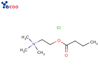 氯化丁酰胆碱
