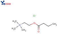 BUTYRYLCHOLINE CHLORIDE
