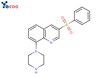 3-苯基磺酰基-8-(哌嗪-1-基)喹啉
