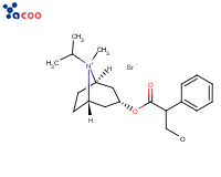异丙托溴铵
