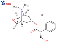 甲溴东莨菪碱
