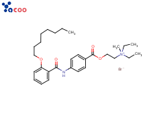 奥替溴铵
