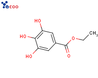 Ethyl gallate
