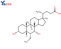 6-乙基鹅去氧胆酸 
