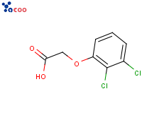 2,3-二氯苯氧基乙酸
