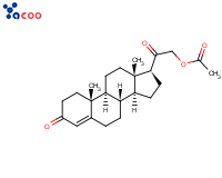 醋酸去氧皮质酮
