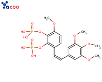 考布他汀A1双磷酸酯化前体药物 (CA1P)
