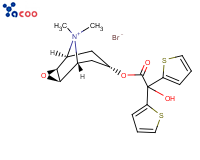 噻托溴铵
